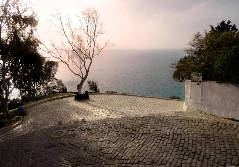בית מלון כפרי La Villa Bleue Sidi Bou Said