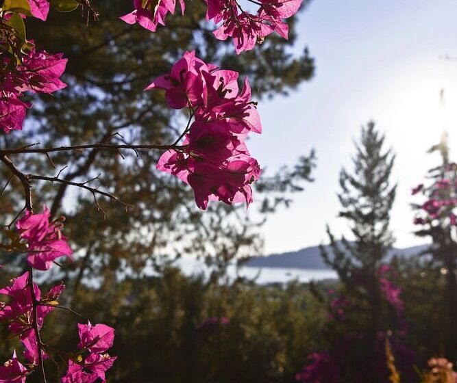 فندق Symbola Oludeniz Beach