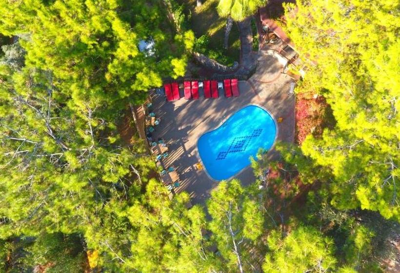 فندق Symbola Oludeniz Beach
