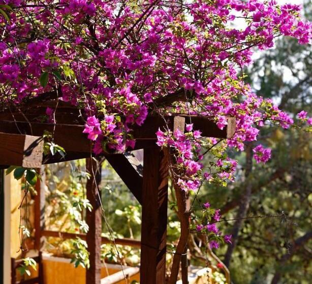 فندق Symbola Oludeniz Beach