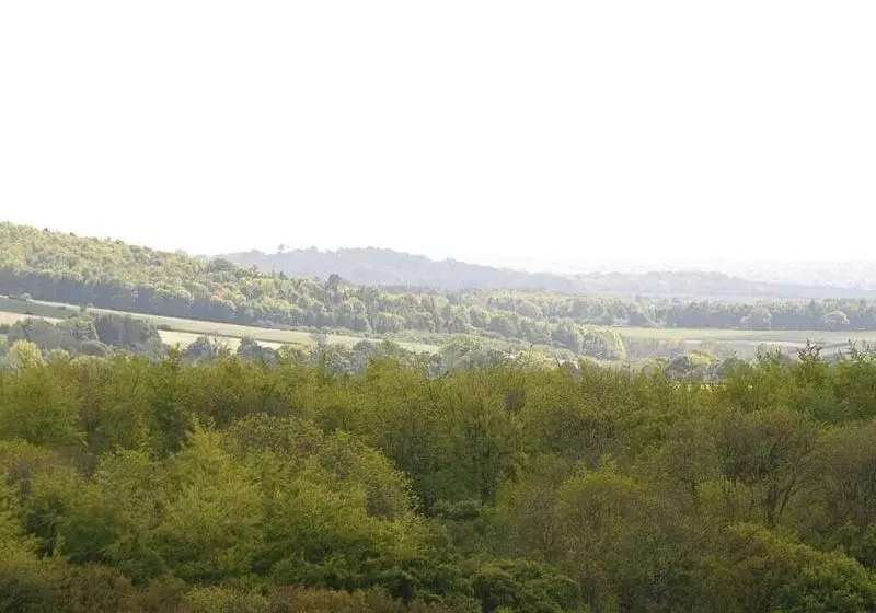 Lodge Farmhouse Bed & Breakfast