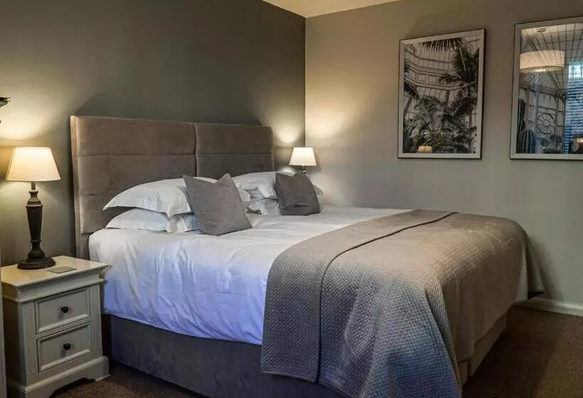 پانسیون Number 46