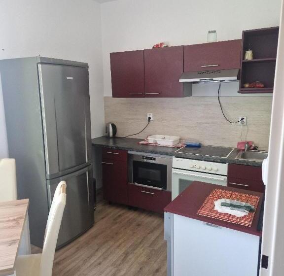 펜션 Penzion Dubí Ruská 393 110