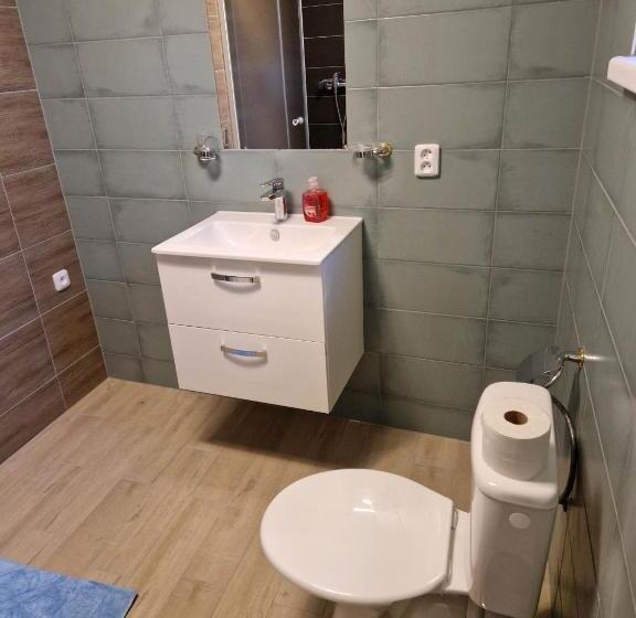 膳宿费 Penzion Dubí Ruská 393 110