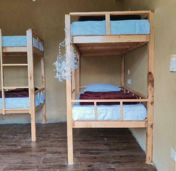 הוסטל Free Spirit S Tribe