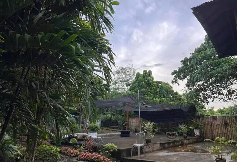 Aamiaismajoitus (B&B) Bohol Island Homestay