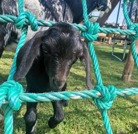 Отель La Granja De Papá Alberto