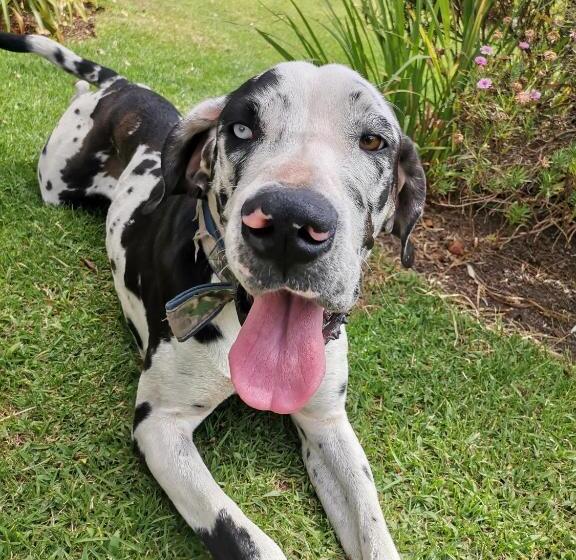 Отель La Granja De Papá Alberto