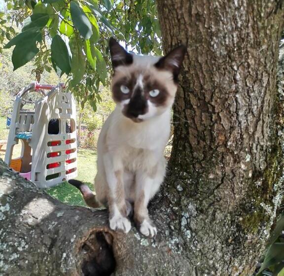 Отель La Granja De Papá Alberto