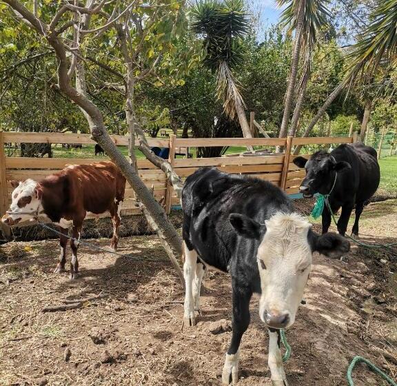 Отель La Granja De Papá Alberto