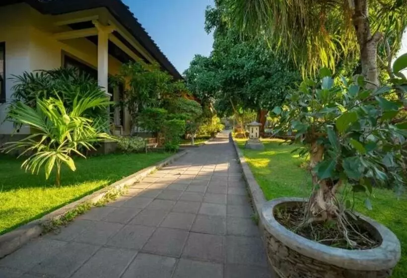 Majatalo Green Coco House