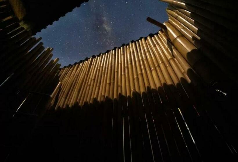 Пансион Green Coco House