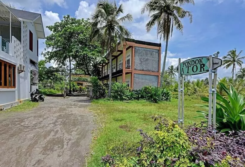 ホテル Oyo 91877 Mushroom Pondok Ator Syariah
