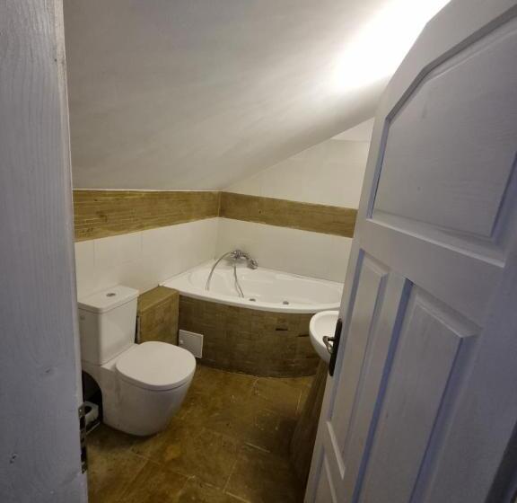 پانسیون Moldi Muzeu