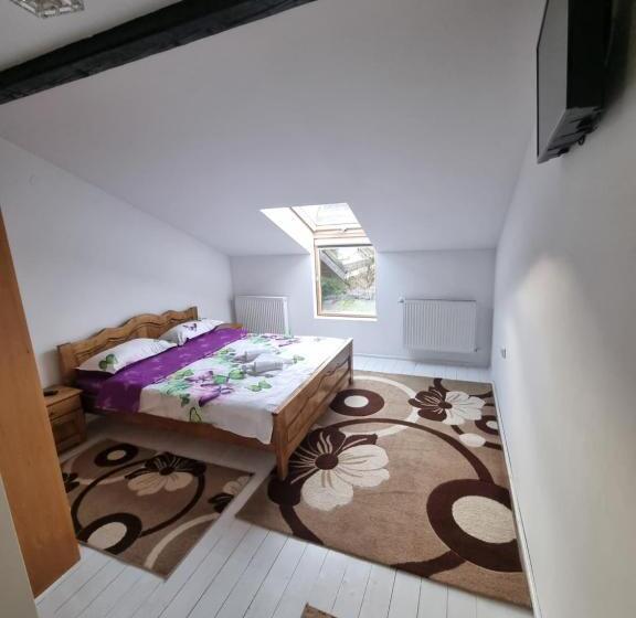 پانسیون Moldi Muzeu