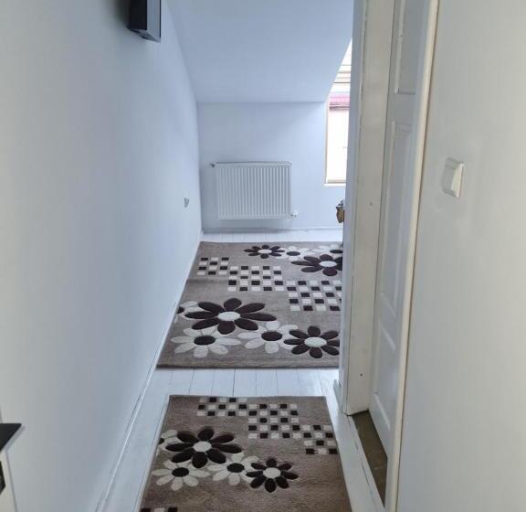 پانسیون Moldi Muzeu