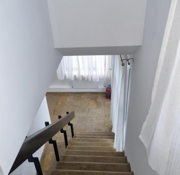 پانسیون Moldi Muzeu