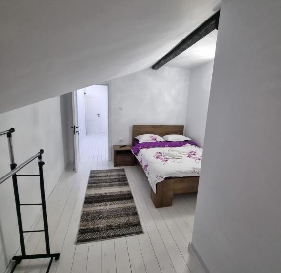 پانسیون Moldi Muzeu