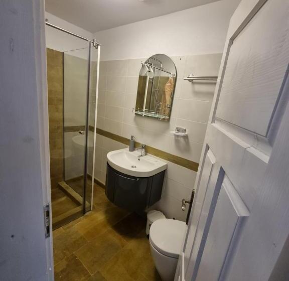 پانسیون Moldi Muzeu