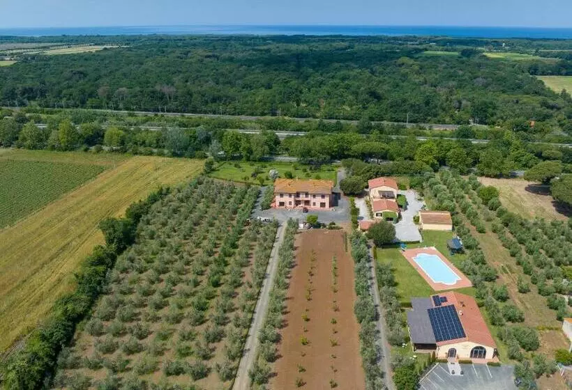 ホテル Agriturismo Osteria Vecchia 3