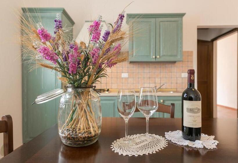 בית מלון כפרי Agriturismo Osteria Vecchia 3