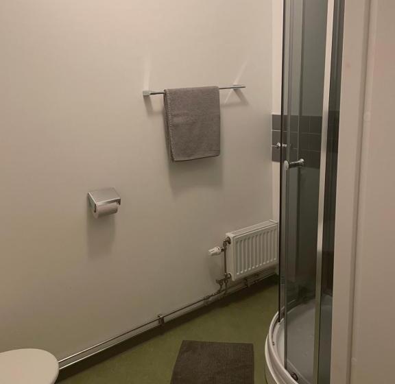 هتل L Silverborgen