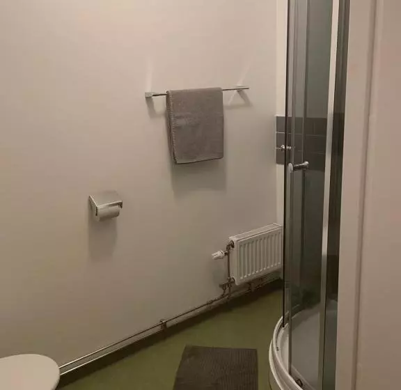 Hotelli L Silverborgen