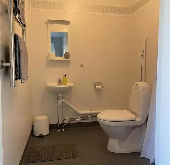 Hotelli L Silverborgen