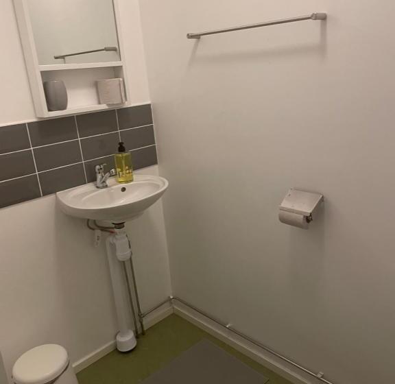 هتل L Silverborgen