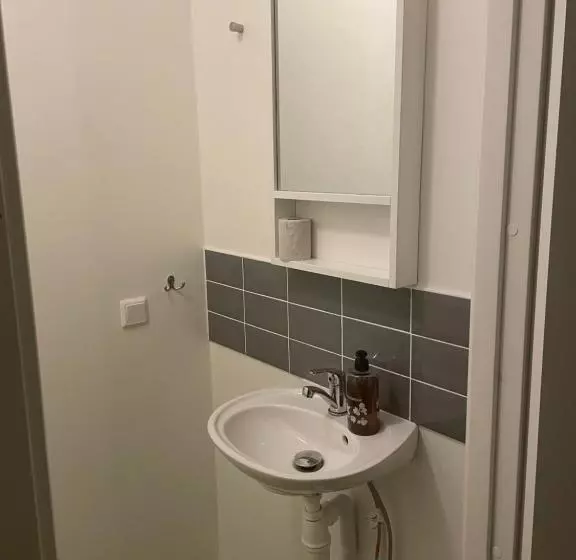 Hotelli L Silverborgen