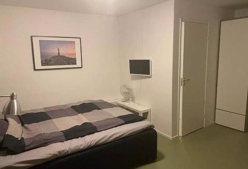 Hotelli L Silverborgen