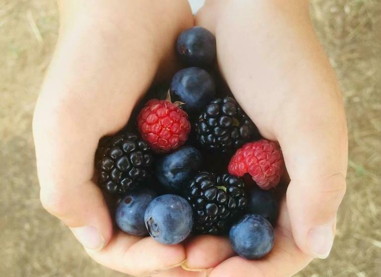 فندق Lots To Do In This Cozy Oakhurst Farm Guest House