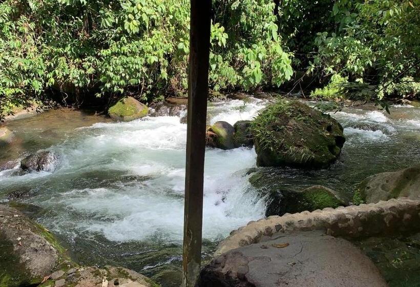 Casa Vitality Bed And Breakfast Playa Guiones, Nosara 4 Minute Walk To The Beach