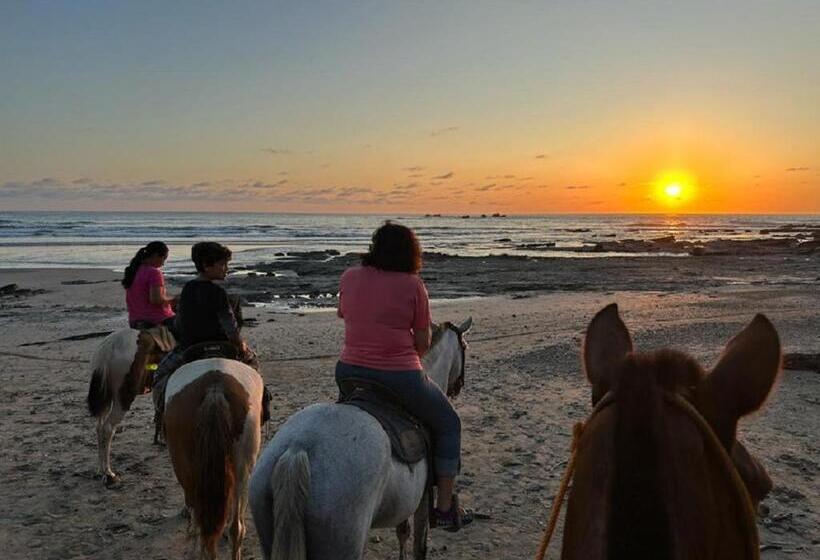 Casa Vitality Bed And Breakfast Playa Guiones, Nosara 4 Minute Walk To The Beach
