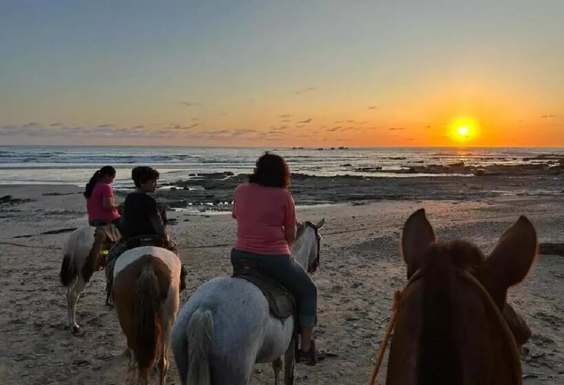 Casa Vitality Bed And Breakfast   Playa Guiones, Nosara   4 Minute Walk To The Beach