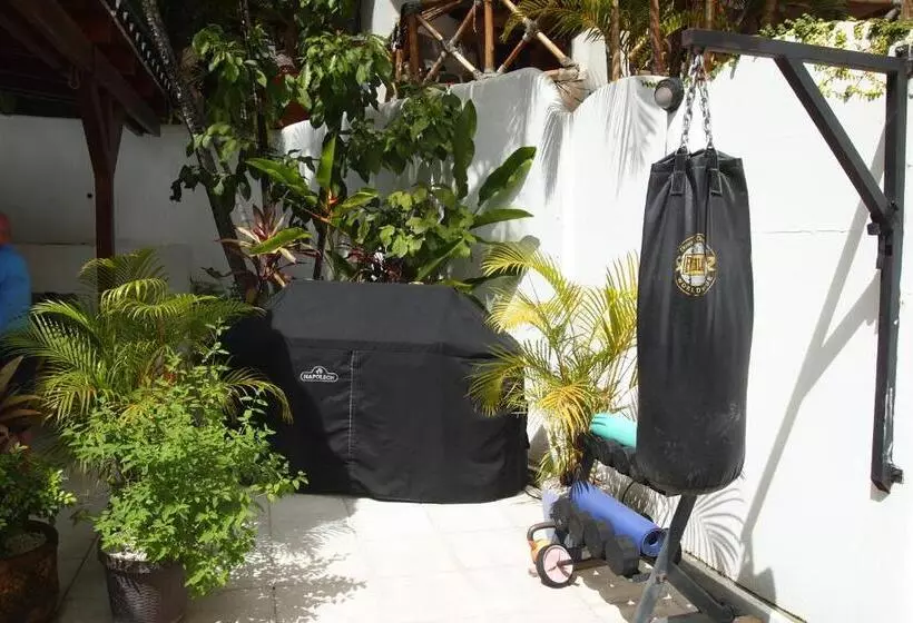 Casa Vitality Bed And Breakfast   Playa Guiones, Nosara   4 Minute Walk To The Beach