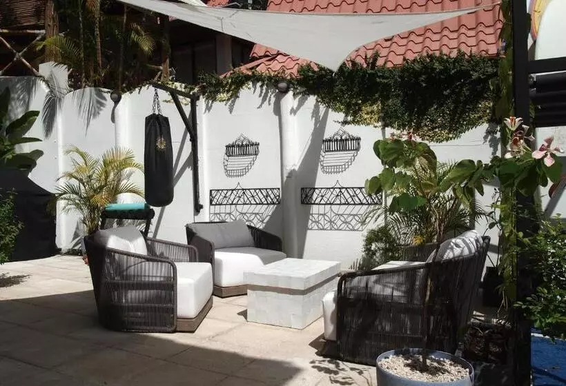 Casa Vitality Bed And Breakfast   Playa Guiones, Nosara   4 Minute Walk To The Beach