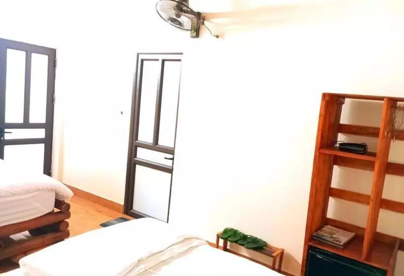 هتل Downtown Backpacker Hostel