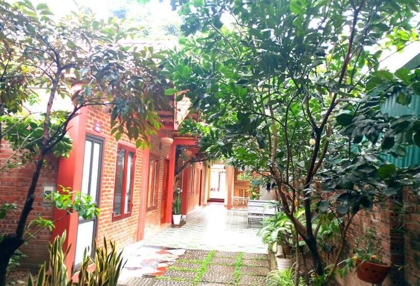 هتل Downtown Backpacker Hostel