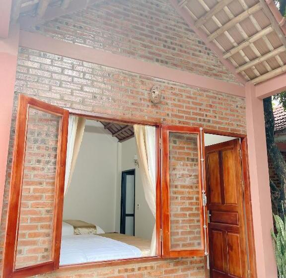 هتل Downtown Backpacker Hostel