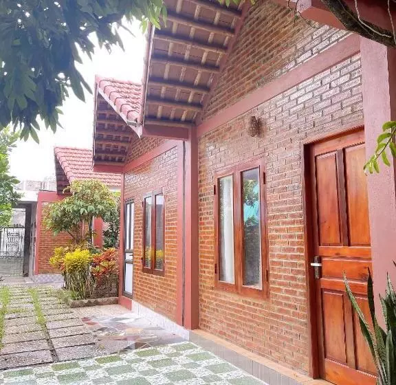 هتل Downtown Backpacker Hostel