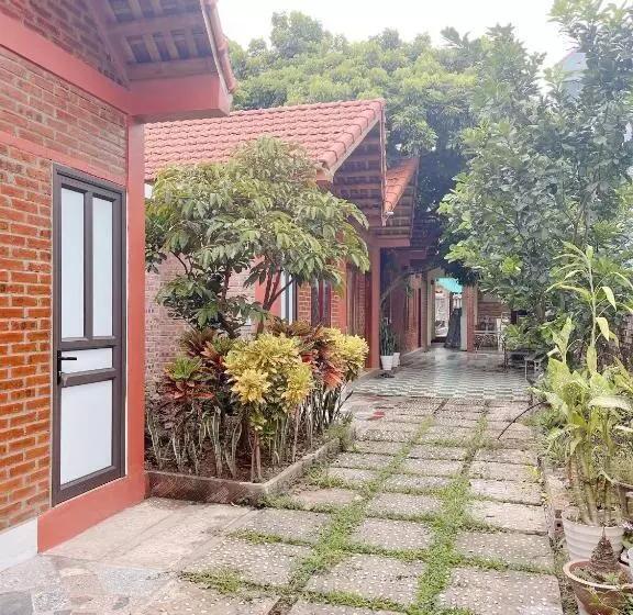 هتل Downtown Backpacker Hostel