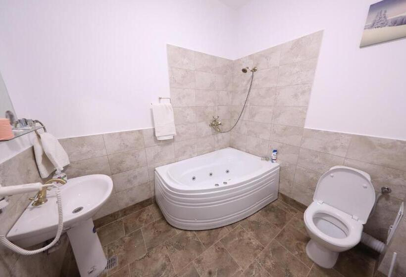 پانسیون Casa Cojocaru