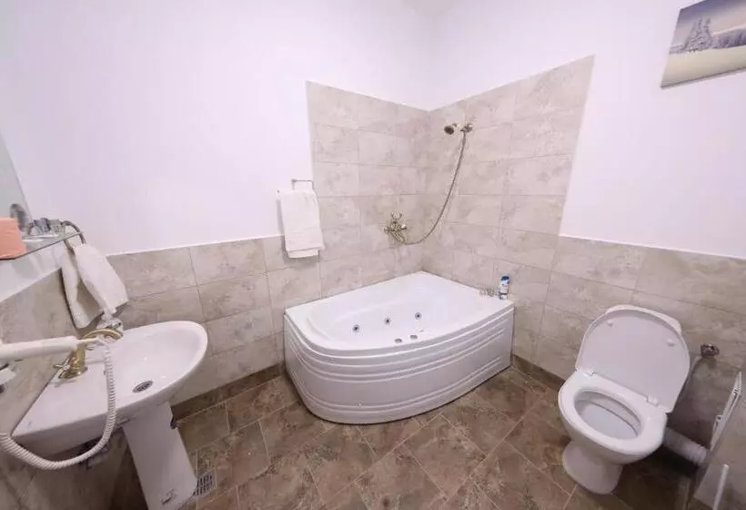 ペンション Casa Cojocaru