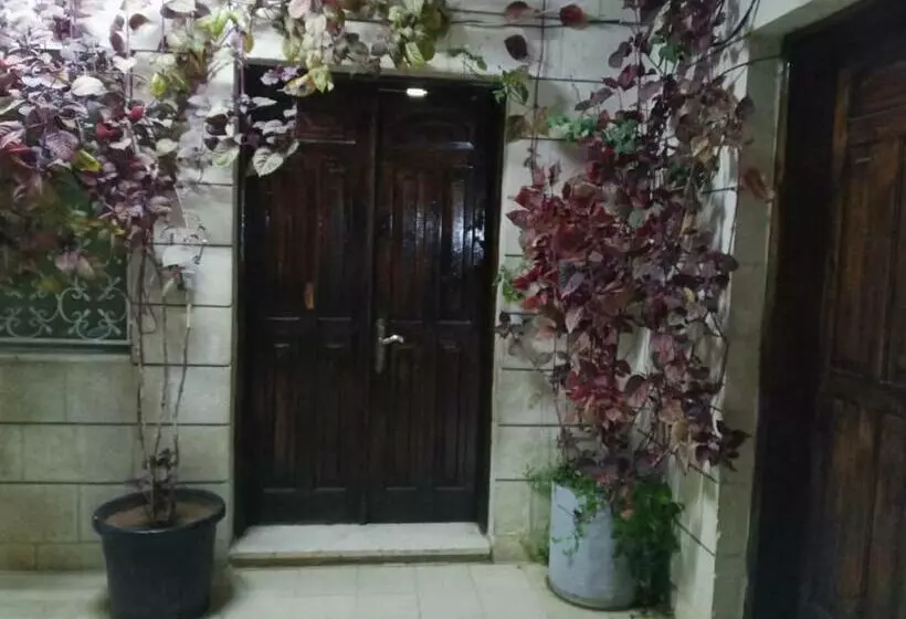 پانسیون Flower