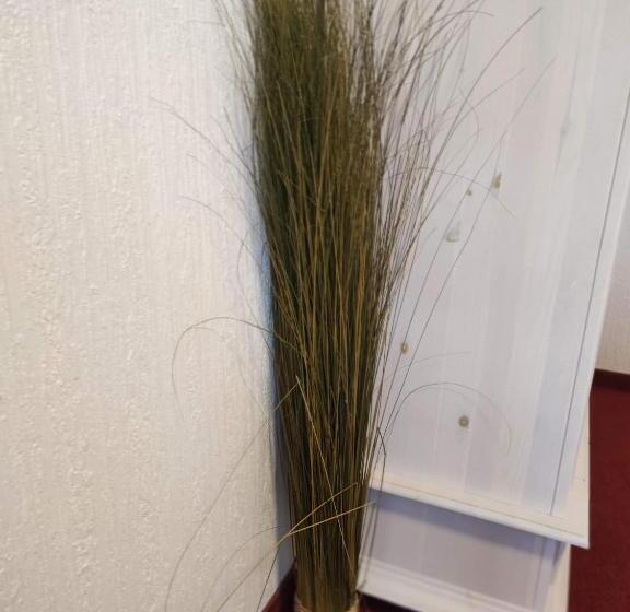 Room In Guest Room Pension Forelle Doppelzimmer