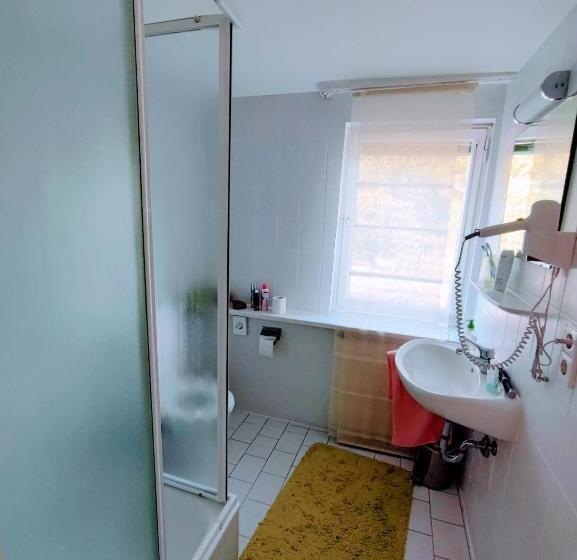 Room In Guest Room Pension Forelle Doppelzimmer