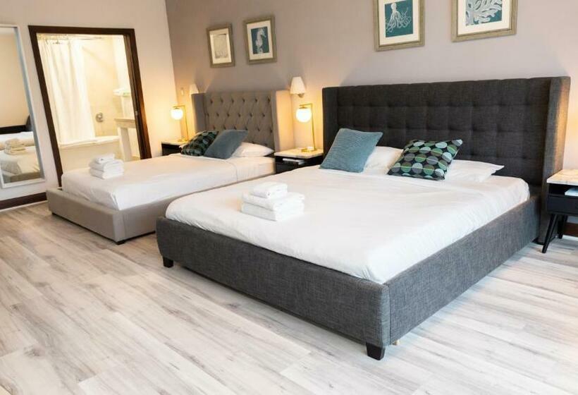 Rooftop Pool Suite With King Bed In Ocean Dr C303