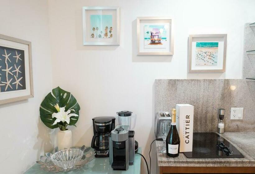 Rooftop Pool Suite With King Bed In Ocean Dr C303