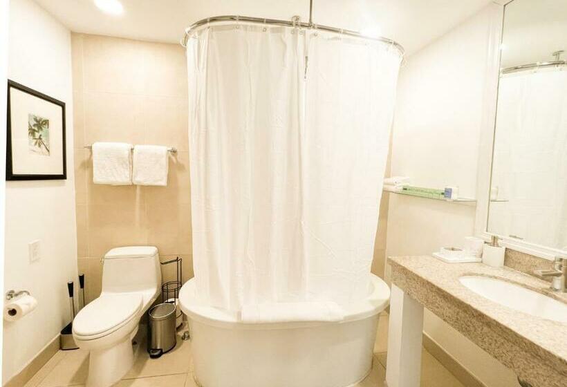 Rooftop Pool Suite With King Bed In Ocean Dr C303